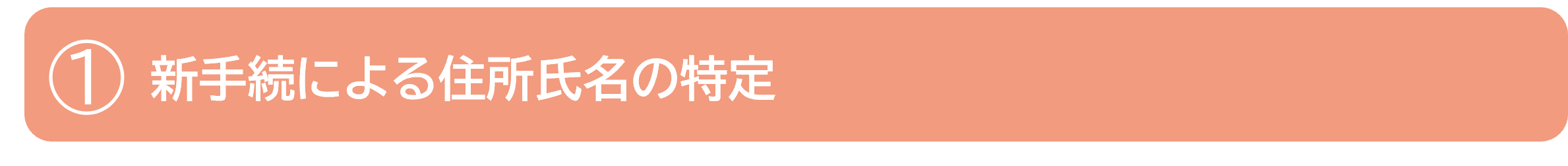 新手続を用いる方法の詳細